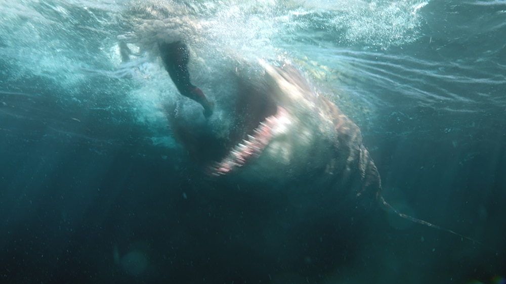 ‘The Meg’ to Devour Box Office With $40 Million Debut
