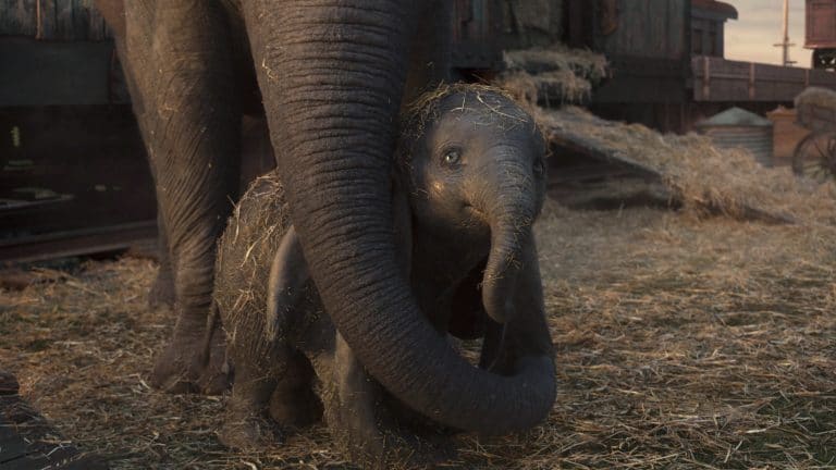 ‘Dumbo’: 30 Plot Details & Behind-the-Scenes Facts Learned on Tim Burton’s Set