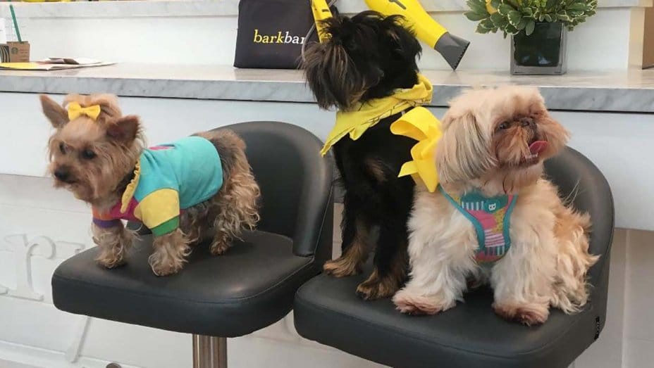 Universal Pictures, Drybar Unveil Dog Grooming Collaboration for ‘Secret Life of Pets 2’ Universal Pictures, Drybar Unveil Dog Grooming Collaboration for ‘Secret Life of Pets 2’