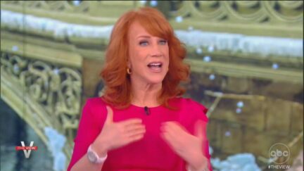 Kathy Griffin, Canned By CNN, Calls Out Network for Keeping Jeffrey Toobin Despite Masturbation Scandal