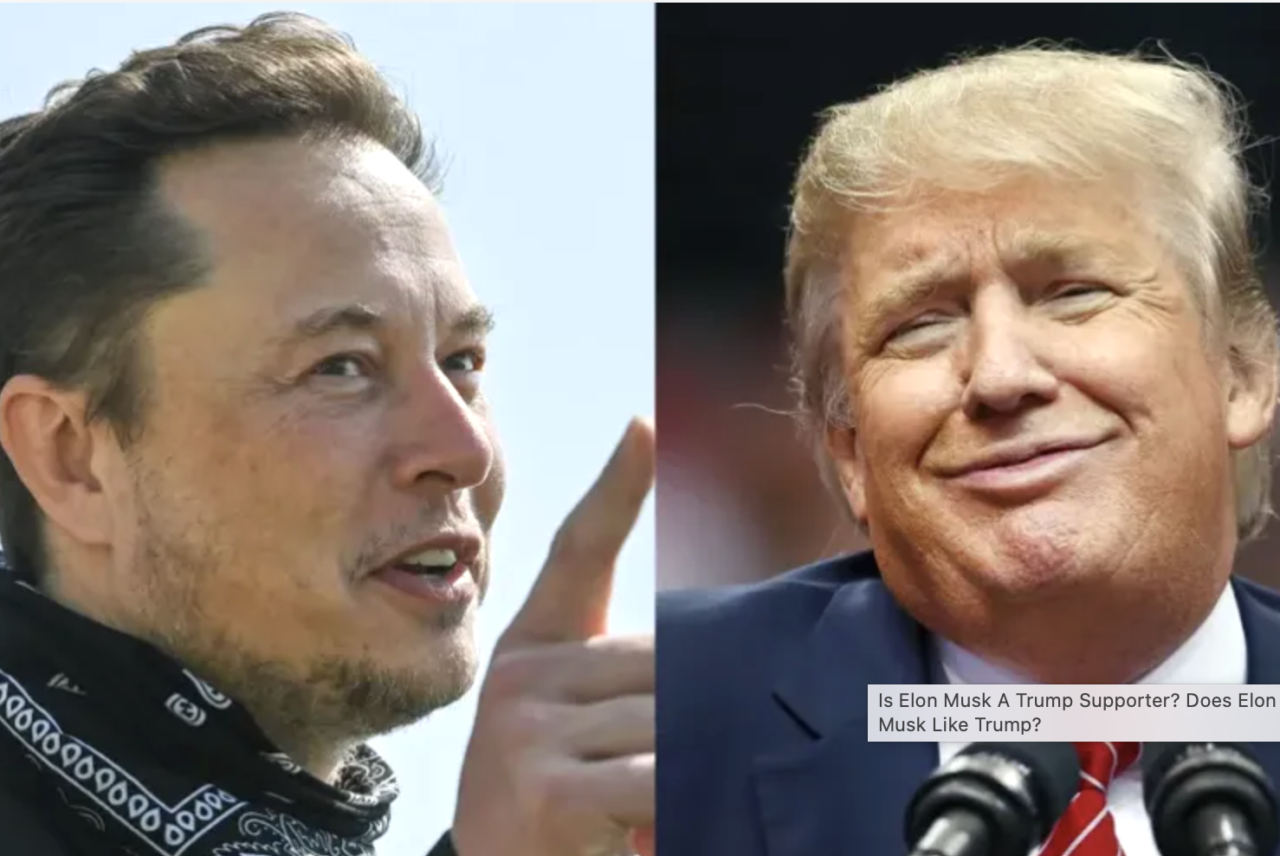 Donald Trump Tells Fox News He Is “Not Going Back” To Twitter After Elon Musk Buys Company