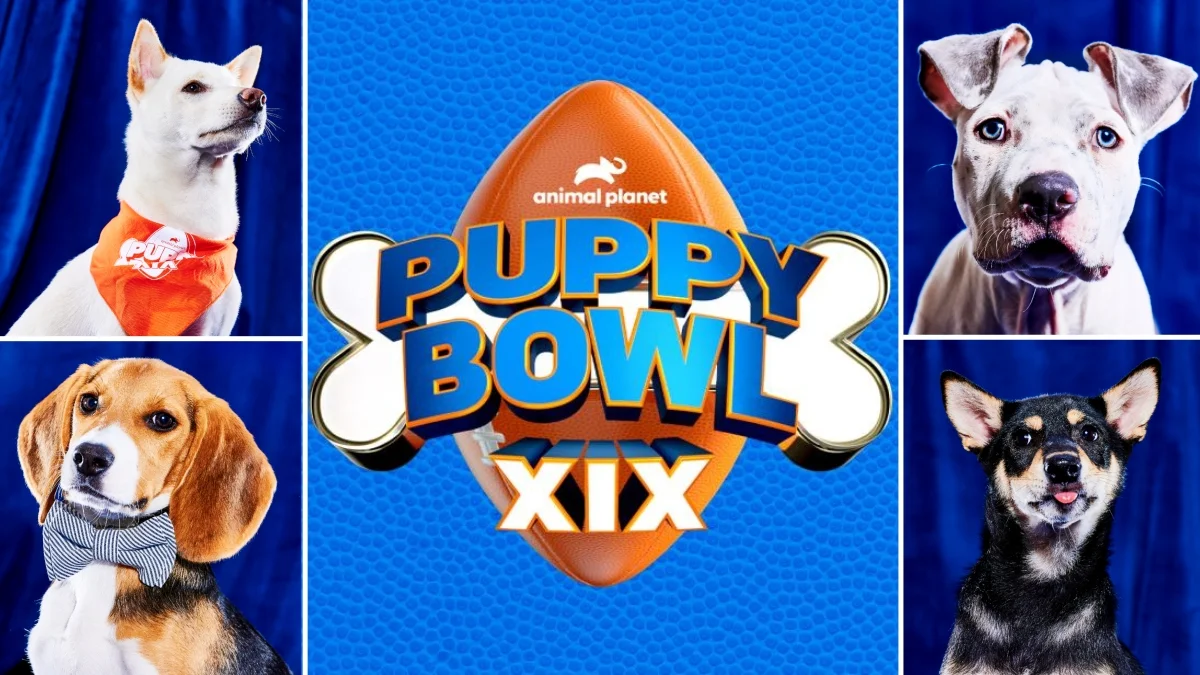 Puppy Bowl 2023 Lineup