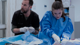 noah-wyle-isa-briones